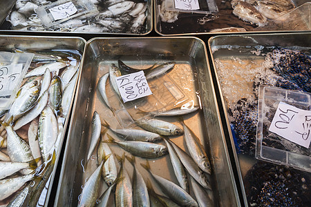 日本津治鱼市杂货店眼睛海洋餐厅饮食寿司街道荒野海鲜钓鱼图片