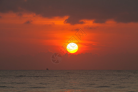 日出在海中晴天美丽阳光天堂旅行假期日落风景太阳地平线图片