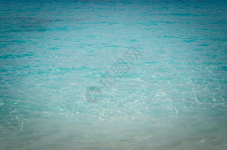 西米兰蓝海珊瑚海岸蓝色天堂海浪动物假期支撑海滩海景图片