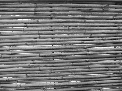 竹墙花园灰色树木风林蔬菜黑色白色图片