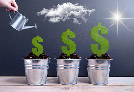 商业美元增长率利润黑板收益金融生长货币汇率水罐植物图片