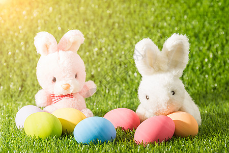 复活节兔子玩具和复活节蛋假期庆典季节太阳光白色阳光绿色传统问候语草原图片
