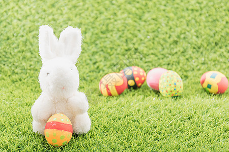 复活节兔子玩具和复活节蛋庆典绿色白色传统问候语假期季节草原季节性图片