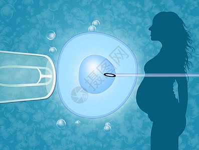 人工受精生活怀孕生育力生物学遗传生殖实验室技术精子排卵图片