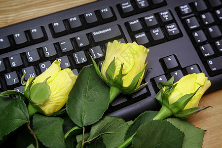电脑键盘上的黄玫瑰技术材料庆典办公室工作惊喜花束假期宏观桌子图片