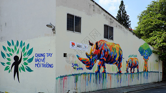用涂鸦艺术 犀牛画作的Rhino保护动物宣传灭绝壁画牛角活动犀牛头绘画犀牛角图片