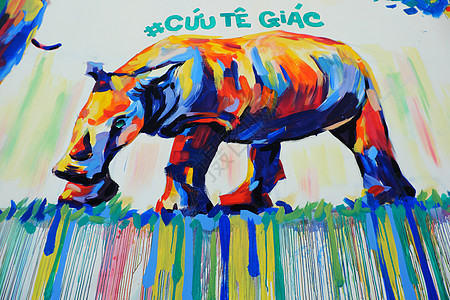 用涂鸦艺术 犀牛画作的Rhino保护壁画犀牛头绘画海报行动宣传动物背景牛角图片