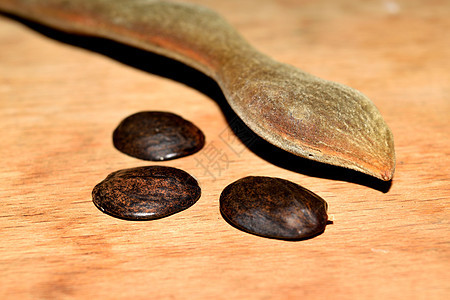 含熟种籽的干枯藤豆漏水植物学种子水果花园播种绿色灰色幼苗团体植物背景图片