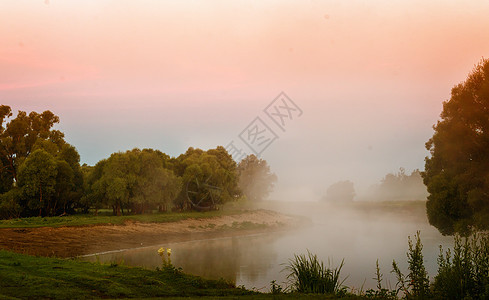早起的雾清晨和一条小河太阳灌木丛空气天空树叶季节树木反射植被设计图片