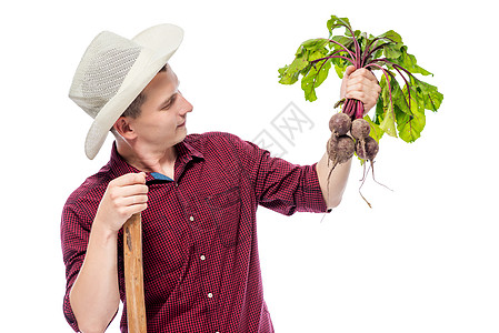 男人园丁手手里拿着一堆甜菜 在白色的背灰上图片