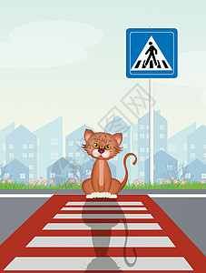 人行道上的猫信号化动物信号注意力快乐插图沥青帮助危险穿越图片