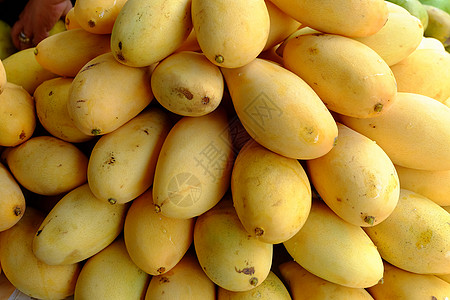 特写成熟的芒果 选择性焦点市场异国蔬菜植物水果营养热带情调饮食收成图片