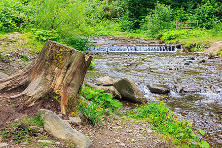 森林河流 有石头 苔和树桩瀑布苔藓溪流绿色流动公园叶子荒野环境图片