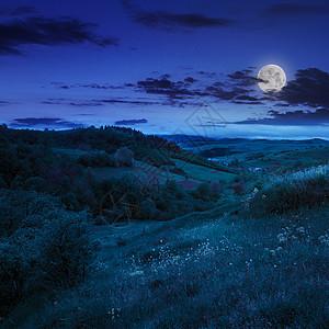 夜间在村附近的山坡上种树图片