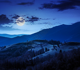 夜间山坡上山丘山谷附近的松树爬坡黑色旅游季节地球行星绿色植物天空环境图片