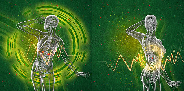 3d 提供人类肾上腺的医学说明髓质器官实质球藻雄激素网状肌医疗3d内分泌肾脏图片