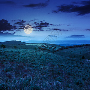在山坡上亮光 夜间有林植物首脑爬坡天空戏剧性月亮星星蓝色自然地球图片