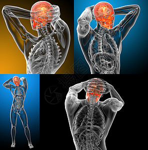 3d 提供人体头骨的医学插图上颌骨3d颅骨骨骼下颌医疗筛骨蝶骨唇形渲染图片