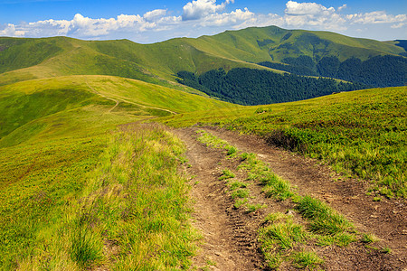 上午散步晴天荒野农村高地植物群小路地平线植物旅游土地图片