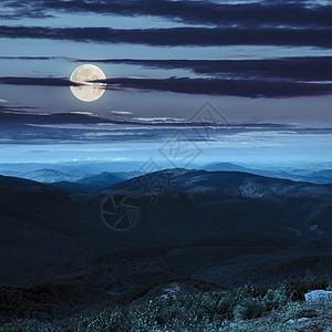 山坡 夜间林林图片