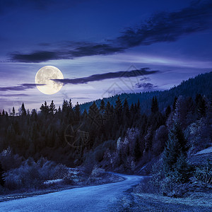 夜间在山上走通林的道路图片