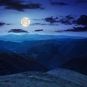 夜间山顶的高高野植物月亮行星蓝色地平线天空丘陵农村星星地球植物群图片