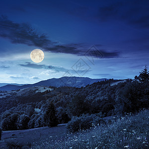 夜间山坡上山丘山谷附近的松树星星红色植物森林月亮乡村季节旅游天空地球图片