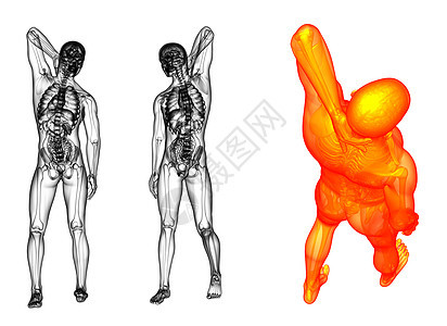 3D为人类提供医学上的证明医疗渲染胆囊药品肝硬化疼痛器官身体解剖学冒号图片