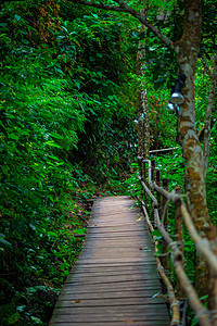 泰国Krabi山的脚足道图片