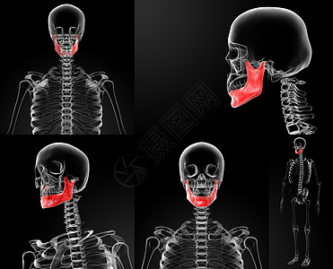 3d 下巴骨头插图药品白色身体下颌生理死亡x光3d医疗解剖学图片