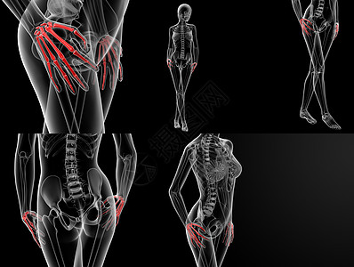 3D 手骨插图图片
