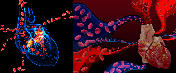 3d 配有血细胞的心脏阀门图片