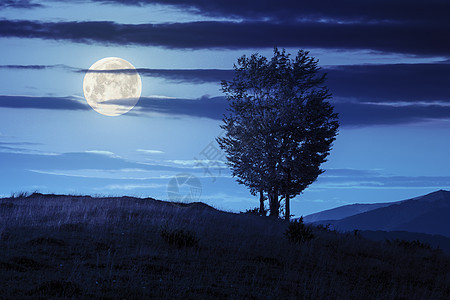 夜间山坡上山丘的山谷附近有树木蓝色日出旅游天空地球植物环境月亮爬坡旅行图片