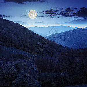 夜里山坡上的秋天森林图片