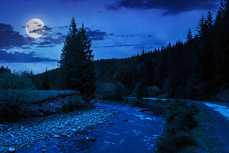 夜间靠近森林河的公路图片