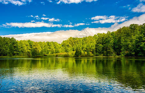 森林中山湖地带天堂液体支撑环境木头公园风景国家蓝色天空图片