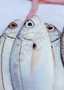 摩洛哥市场上销售的新鲜鱼和其他海产食品已准备就绪奢华维生素海洋对虾钓鱼餐厅资源营养港口饮食图片
