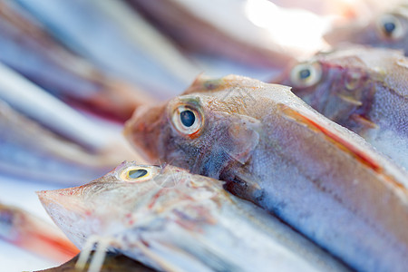 摩洛哥市场上销售的新鲜鱼和其他海产食品已准备就绪海鲜乌贼营养海洋饮食维生素钓鱼宏观港口奢华图片