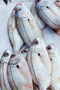 摩洛哥市场上销售的新鲜鱼和其他海产食品已准备就绪对虾资源钓鱼维生素乌贼美食海鲜营养餐厅动物图片