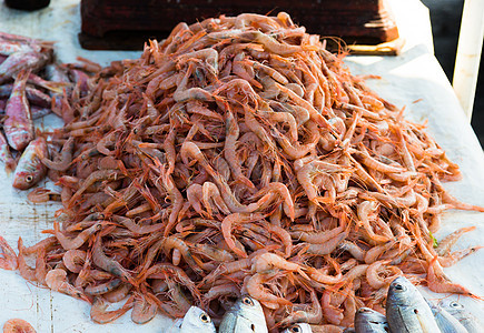 摩洛哥市场上销售的新鲜鱼和其他海产食品已准备就绪港口海鲜对虾营养鳀鱼食物烹饪美食乌贼海洋图片