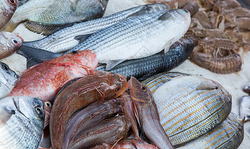 摩洛哥市场上销售的新鲜鱼和其他海产食品已准备就绪烹饪饮食乌贼维生素食物钓鱼餐厅海洋鳀鱼对虾图片