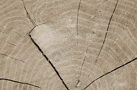 木桩纹理背景裂缝条纹日志木材木头红色阴影半圆树干宏观图片