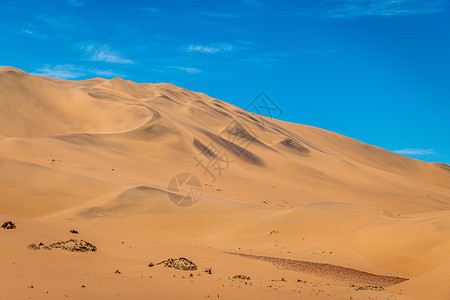 纳米布沙漠中的沙丘 纳米布沙漠中的沙丘图片