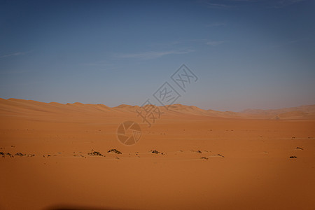 纳米布沙漠的沙丘荒野国家生态旅游旅行曲线勘探全景地区环境寂寞图片