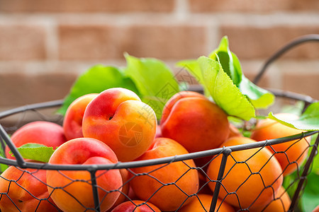 新鲜的杏仁 木制桌上篮子里有叶子甜点食物水果饮食营养收成乡村橙子厨房团体图片
