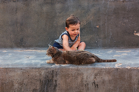 亲爱的小男孩和小猫咪拥抱花园投标尾巴小学生毛皮友谊动物微笑品种图片