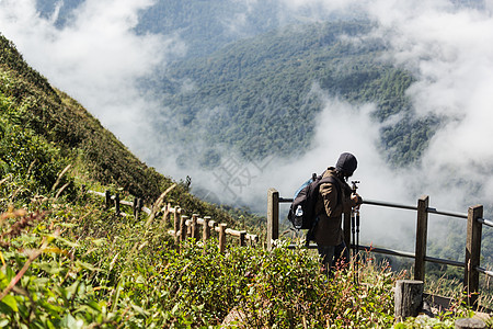 观光客在山丘的草地上行走晴天阳光远足旅行活动冒险脆弱性野花游客草药图片