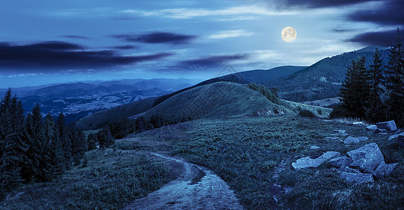 夜间在山中山谷附近的松树图片
