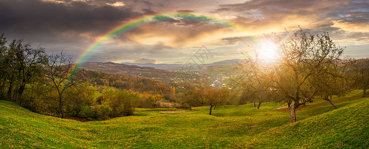树与彩虹素材日落时山坡上的苹果果园全景背景