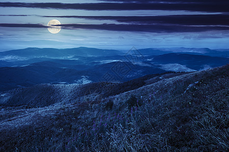 夜里山顶的野花星星紫色高地土地场景蓝色场地行星拼贴画天空图片